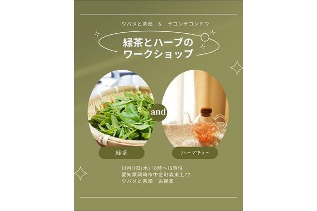 「成分と淹れ方がじっくり学べるお茶とハーブティーのワークショップ」をご紹介します！