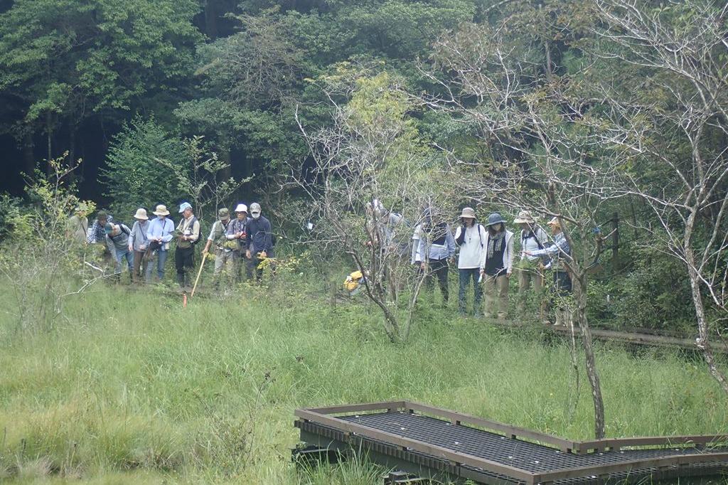 北山湿地「秋の自然観察会」を開催しました！