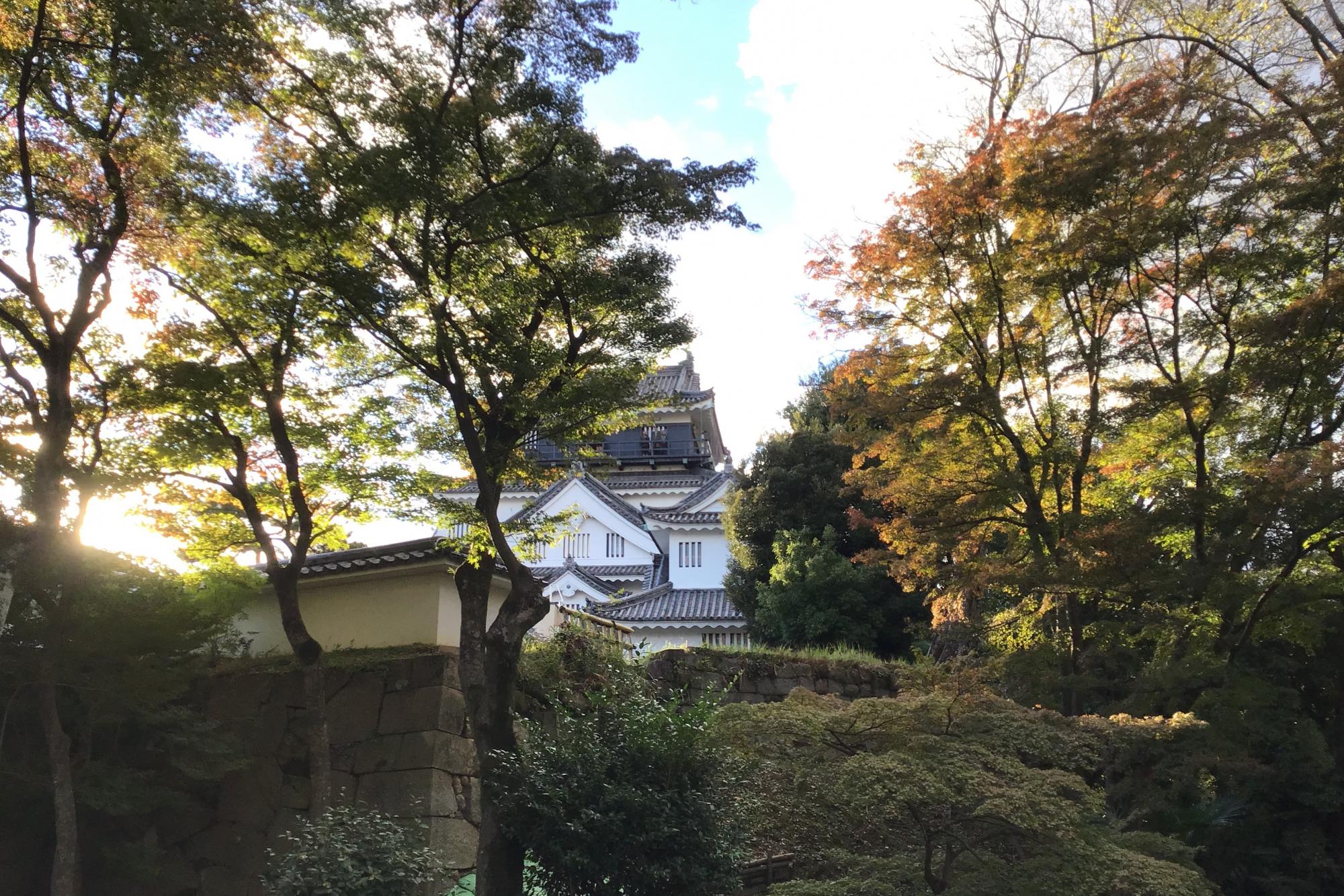 2023年11月26日（日）「岡崎城公園探鳥会」のお知らせ