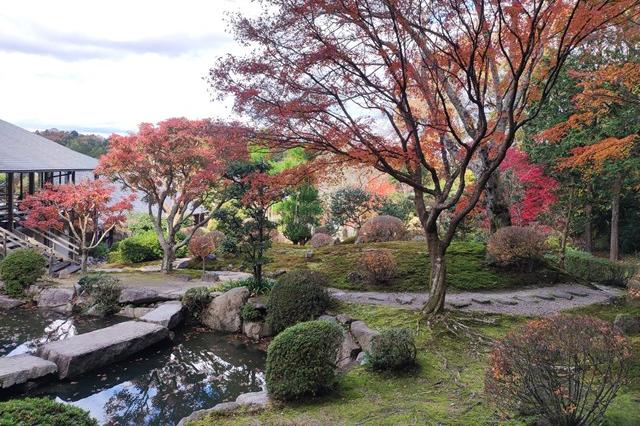 12月1日(金)の紅葉の様子です