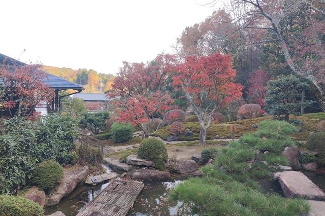 12月7日(木)の紅葉の様子です