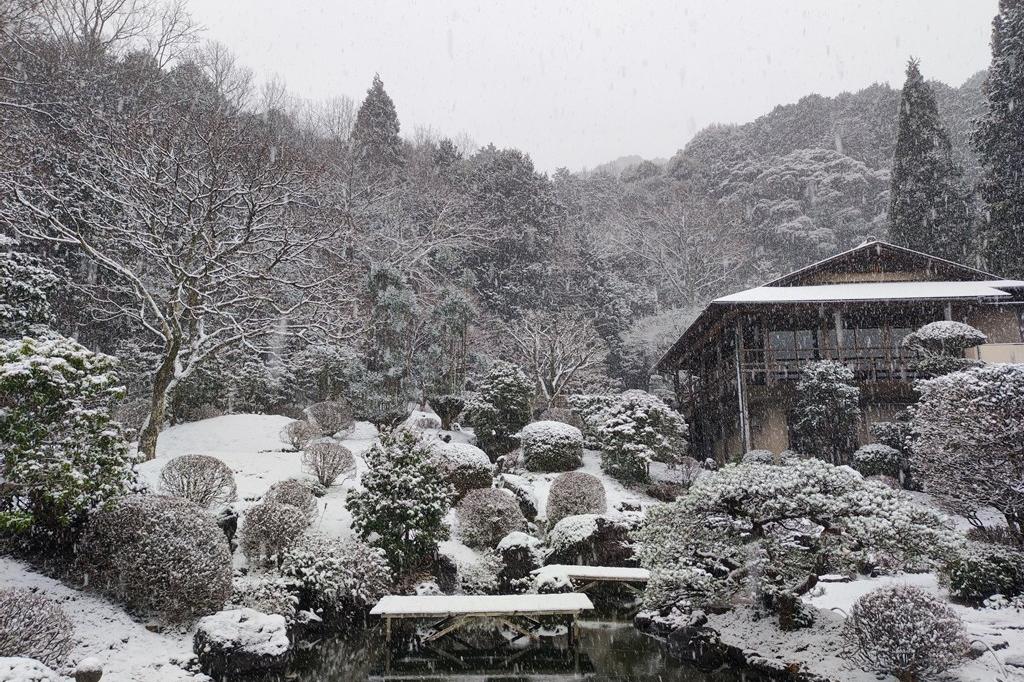 雪の奥殿陣屋の様子です(2024年1月24日撮影)