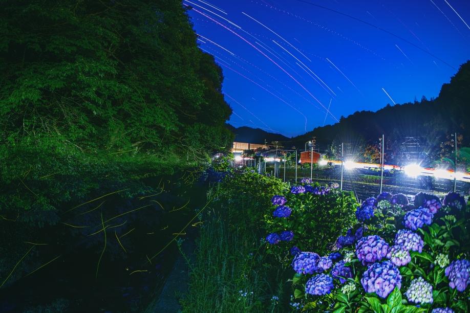 ７月31日（水）必着「2024鳥川ホタルまつりフォトコンテスト」が開催されます！