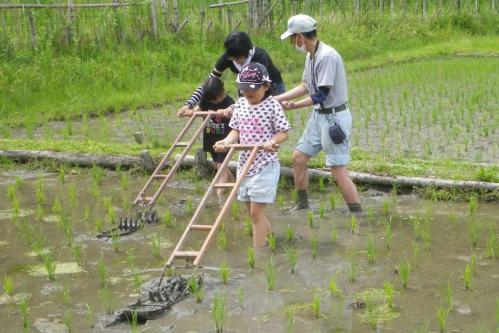 「田の手入れ・ザリガニ釣り」／昔ながらの農業体験」を実施します！！