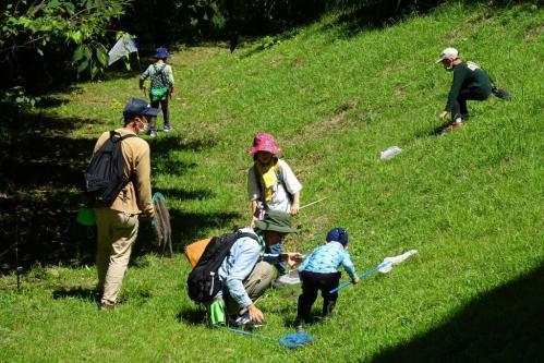 2024年「夏の虫を探そう／森の教室」を実施します！