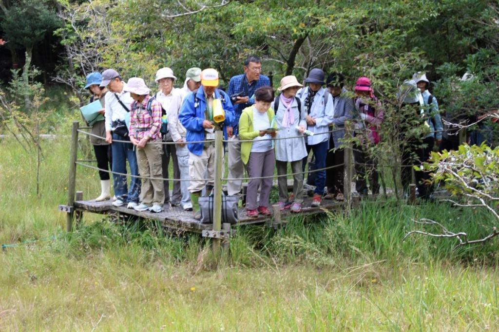 秋の「北山湿地」自然観察会を開催しました