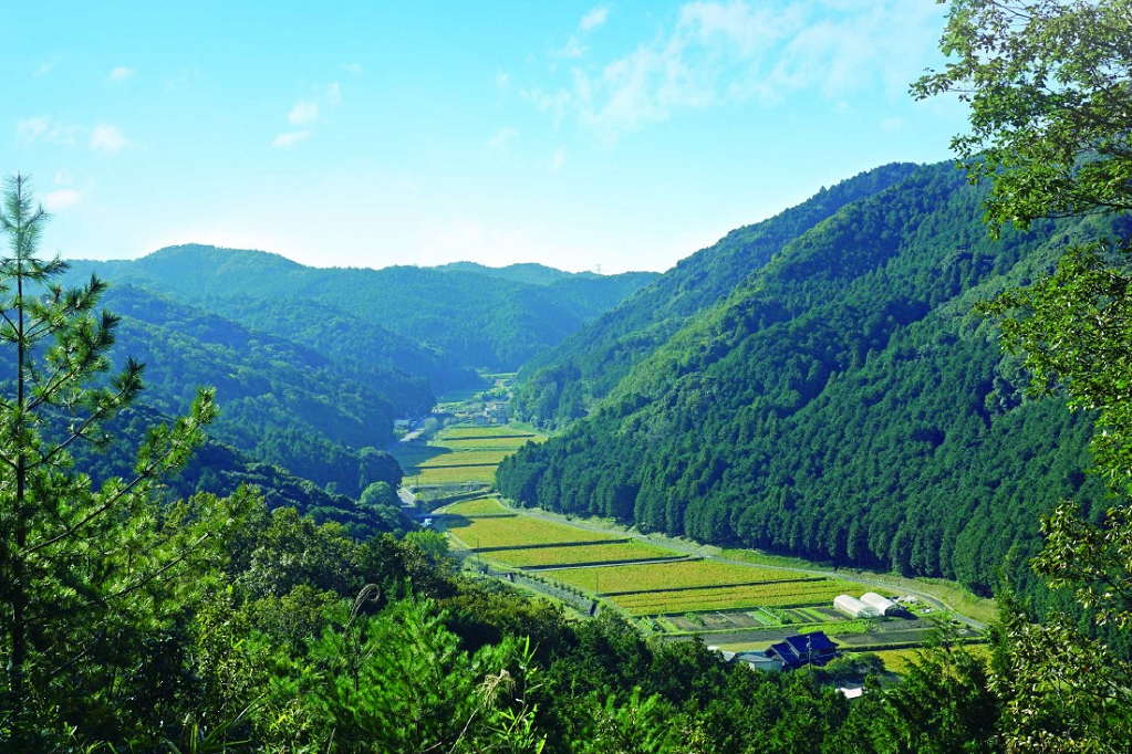 今日は山の日！岡崎の豊かな里山「オクオカエリア」特集をご紹介します！