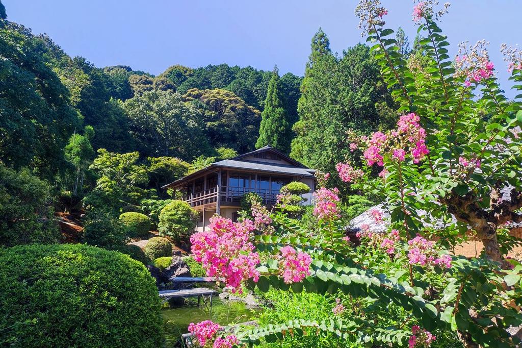 8月12日(月祝)のお花情報