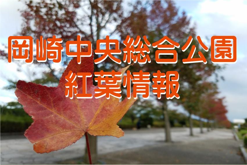 岡崎中央総合公園の花・紅葉情報