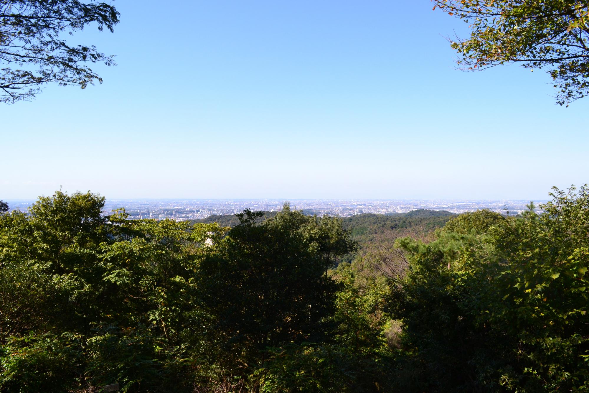 自然観察の里調査・再生プロジェクトメンバーと夏休み自由研究講座を受講された方が自由研究で優秀な成績を納めました！