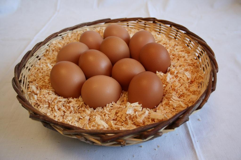 岡崎のブランド鶏「岡崎おうはん」の卵で、卵かけご飯はいかがですか？