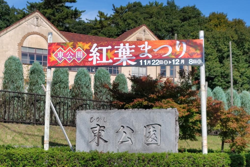 2024年の東公園「紅葉」の様子をお届けします！