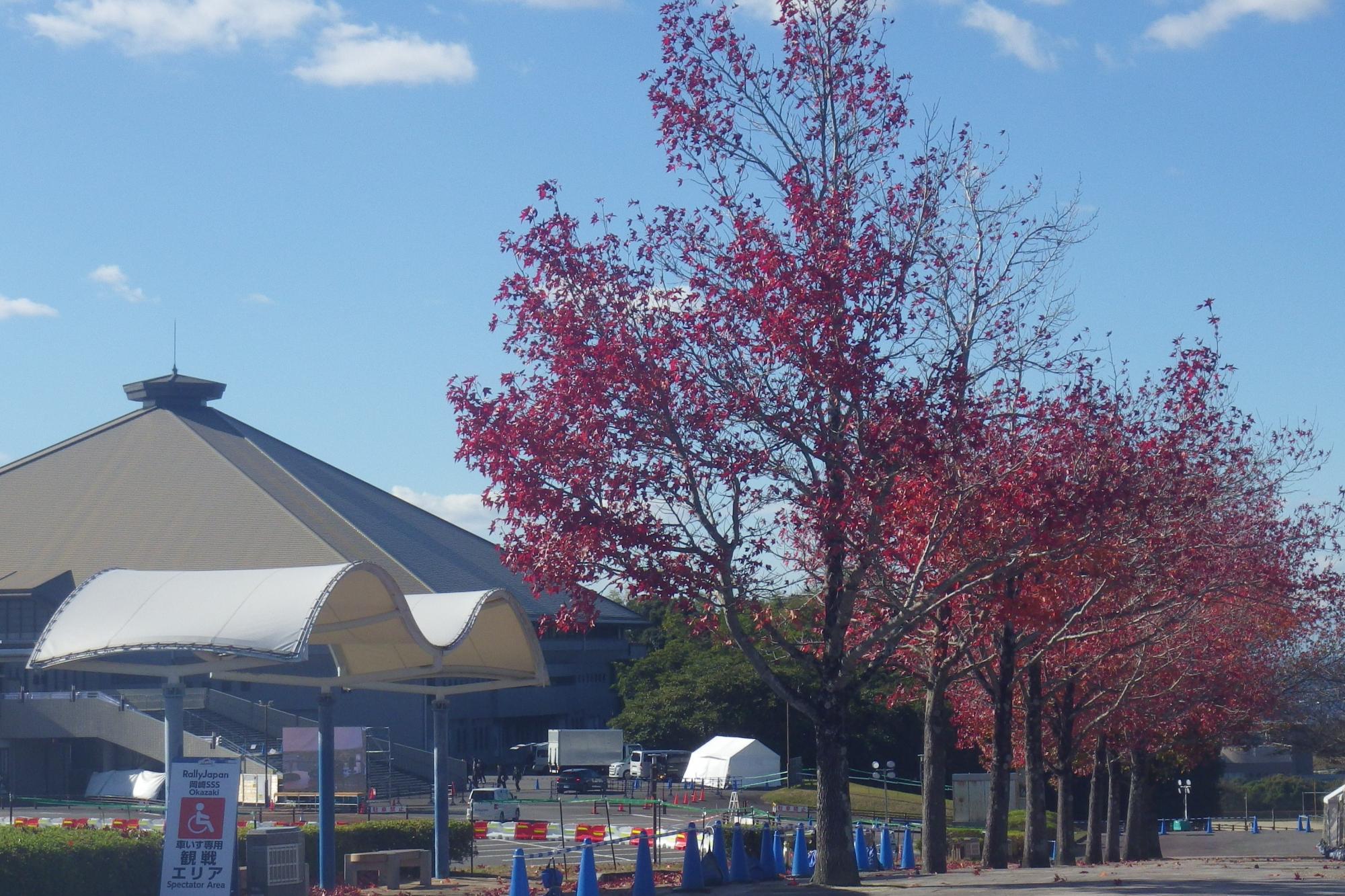 2024年12月3日（火）まで「公園紅葉フォトコンテスト」を開催しております！