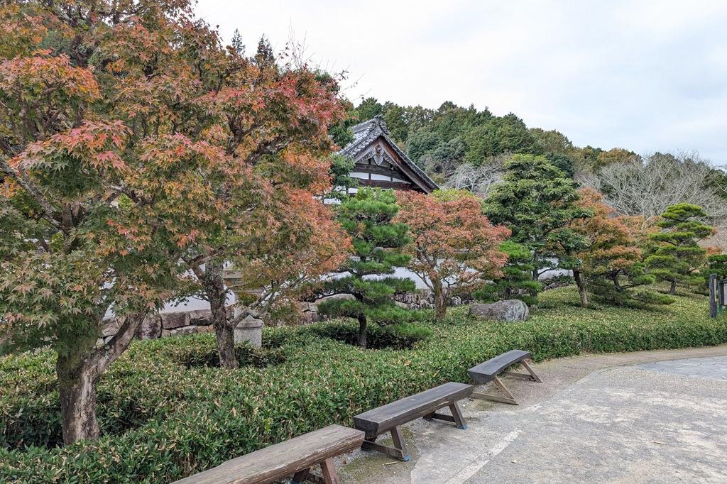 11月26日(火)の紅葉情報