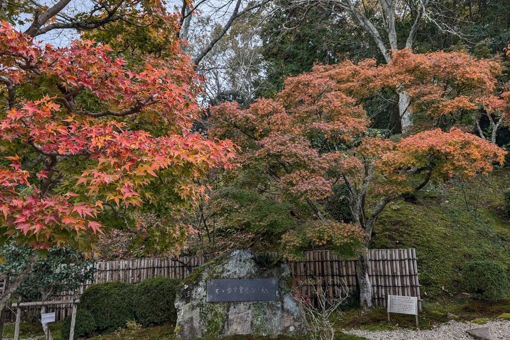 奥殿陣屋の紅葉情報をお届けします！