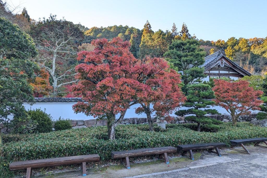 12月3日(火)の紅葉情報