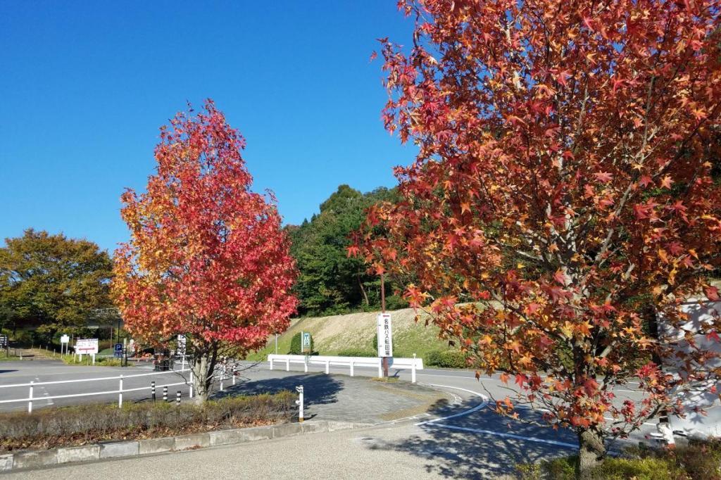 10月31日（火）の紅葉の状況を掲載しました！