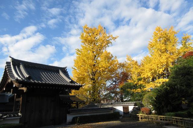 2024年12月4日（水）の紅葉情報を公開しました！