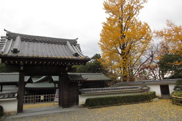 2024年12月8日（日）の紅葉情報を公開しました！