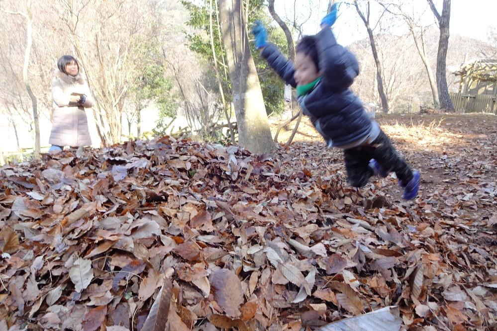 1月14日に「落ち葉プールにダイブ！」を開催します！