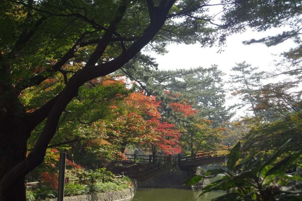 11月7日の東公園の紅葉の様子を掲載しました！