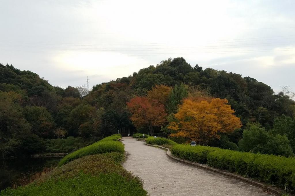 11月7日（火）の紅葉情報を掲載しました！