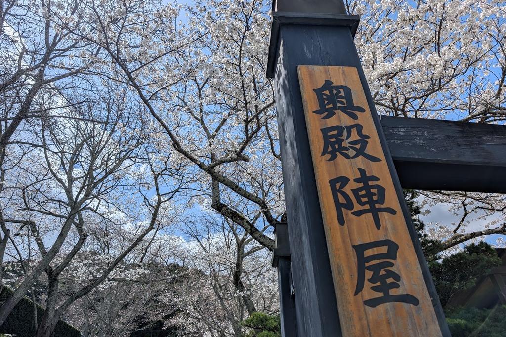 4月3日(木) 桜の開花情報