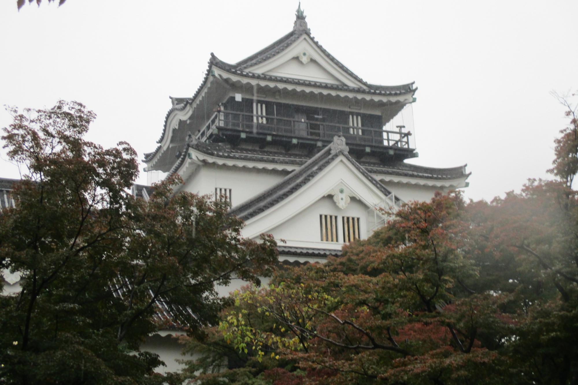 11月18日(土）の岡崎城公園の紅葉情報を掲載しました！
