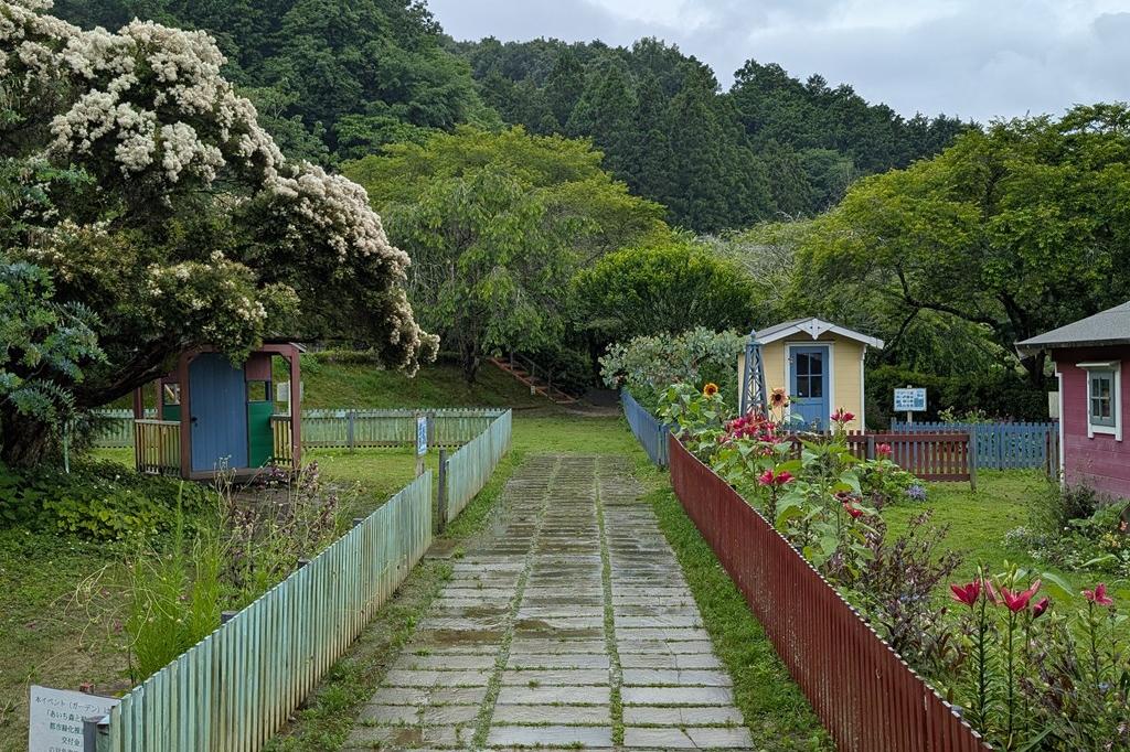 6月11日(水)のお花情報【雨の北欧風庭園です】