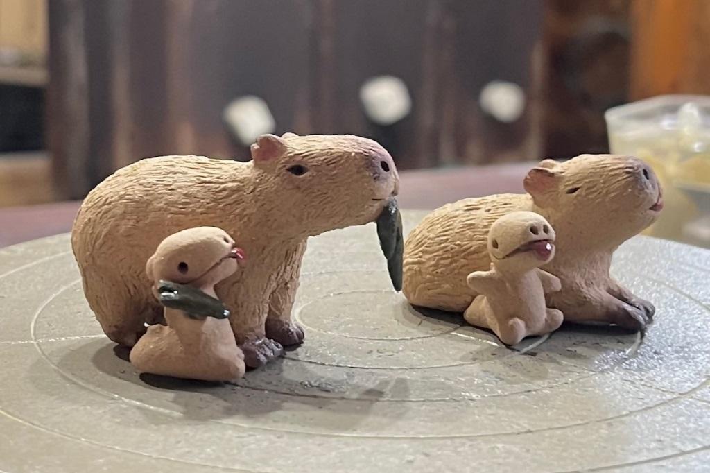 第3回ZOOマルシェを開催します。