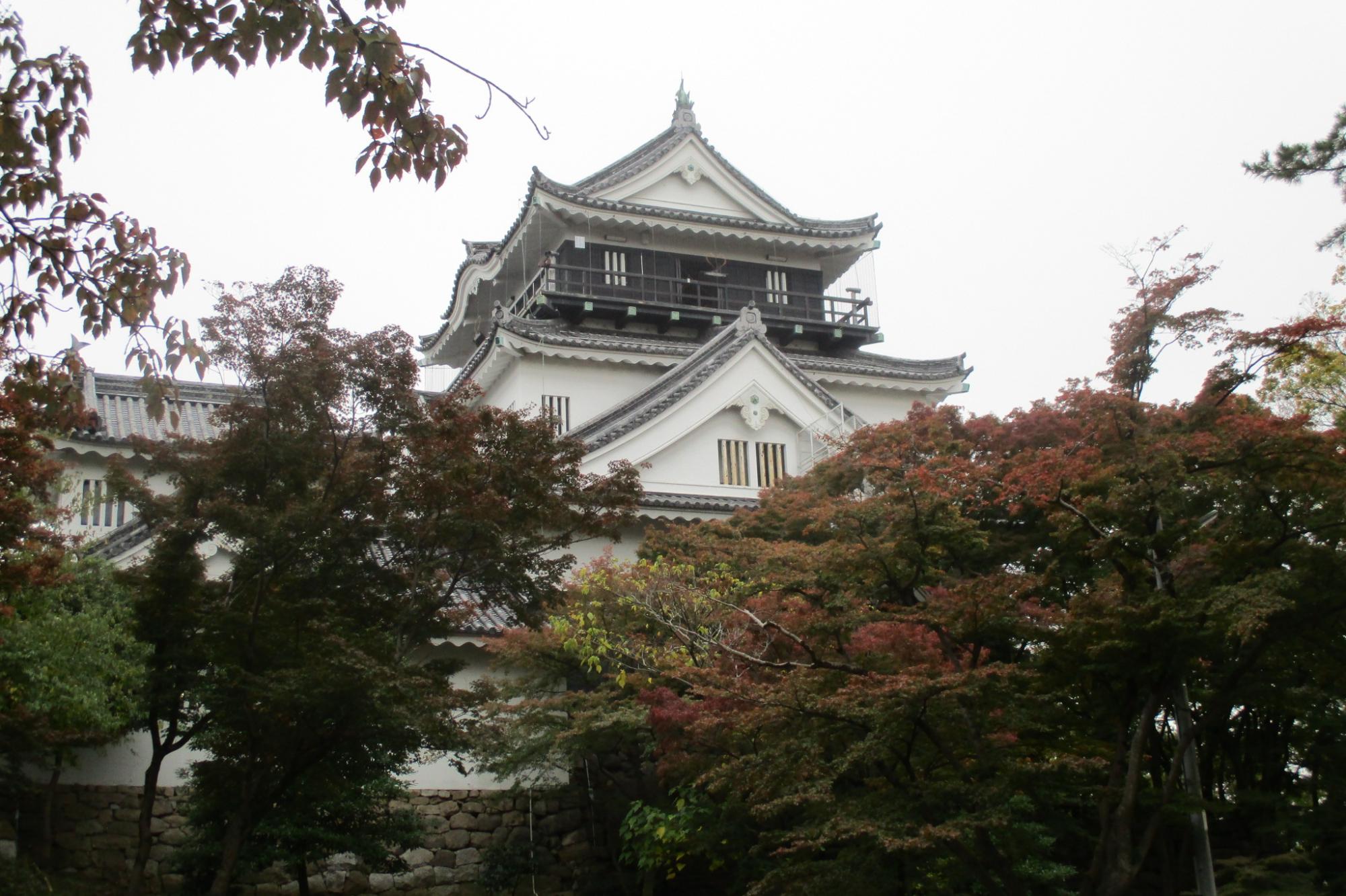 11月20日(月）の岡崎城公園の紅葉情報を掲載しました！