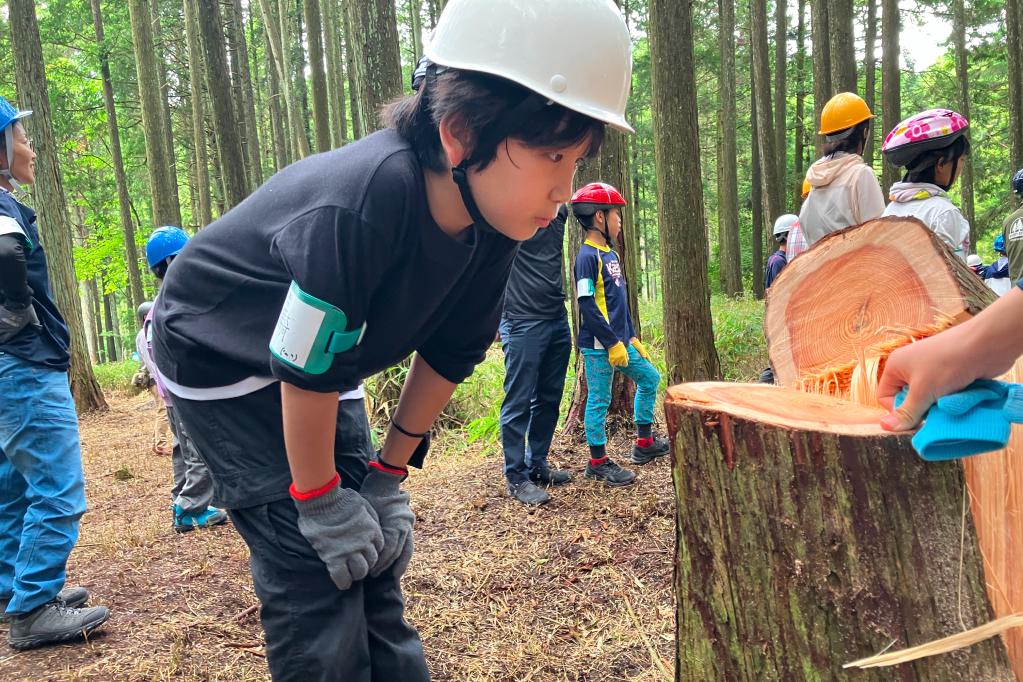 愛知県野外教育センターにて10月18日(土)に開催される「森を学ぼう！森で遊ぼう！」申込受付中！