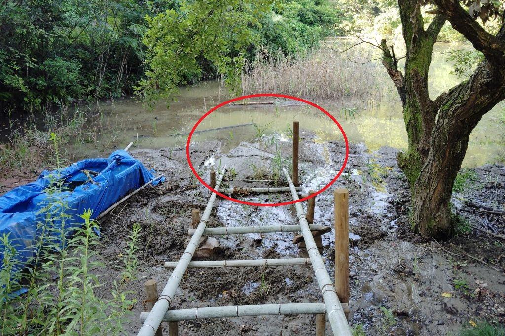 「里山保全活動／ボランティア活動」台風15号被害復旧作業を実施します！！