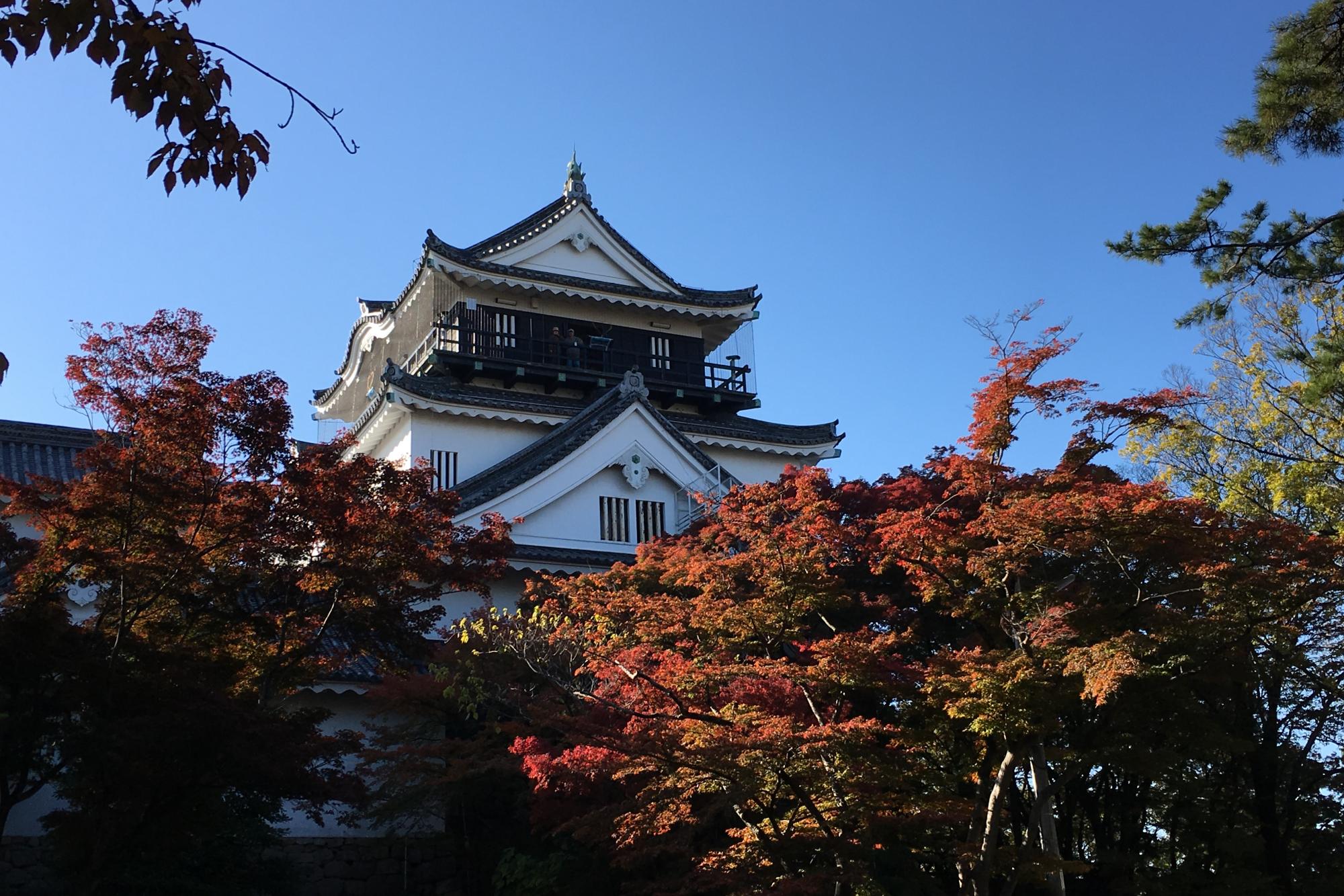 2017年11月25日（土）の紅葉状況を掲載しました！