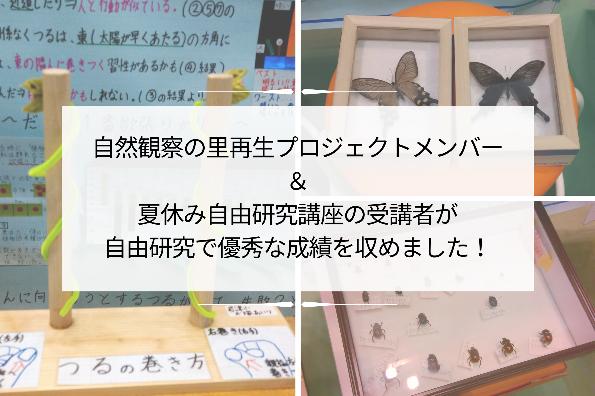 自然観察の里調査・再生プロジェクトメンバーと夏休み自由研究講座を受講された方が自由研究で優秀な成績を収めました！