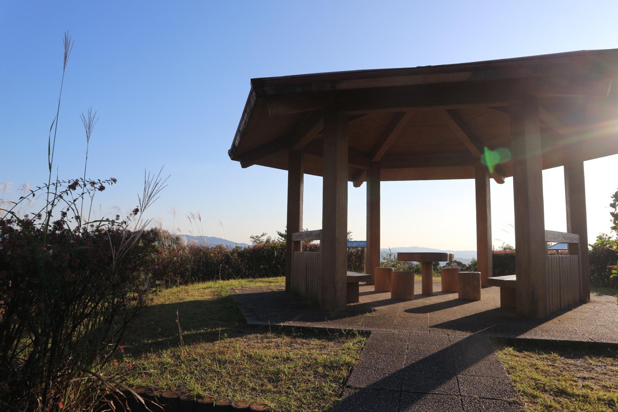 展望の丘登頂チャレンジ