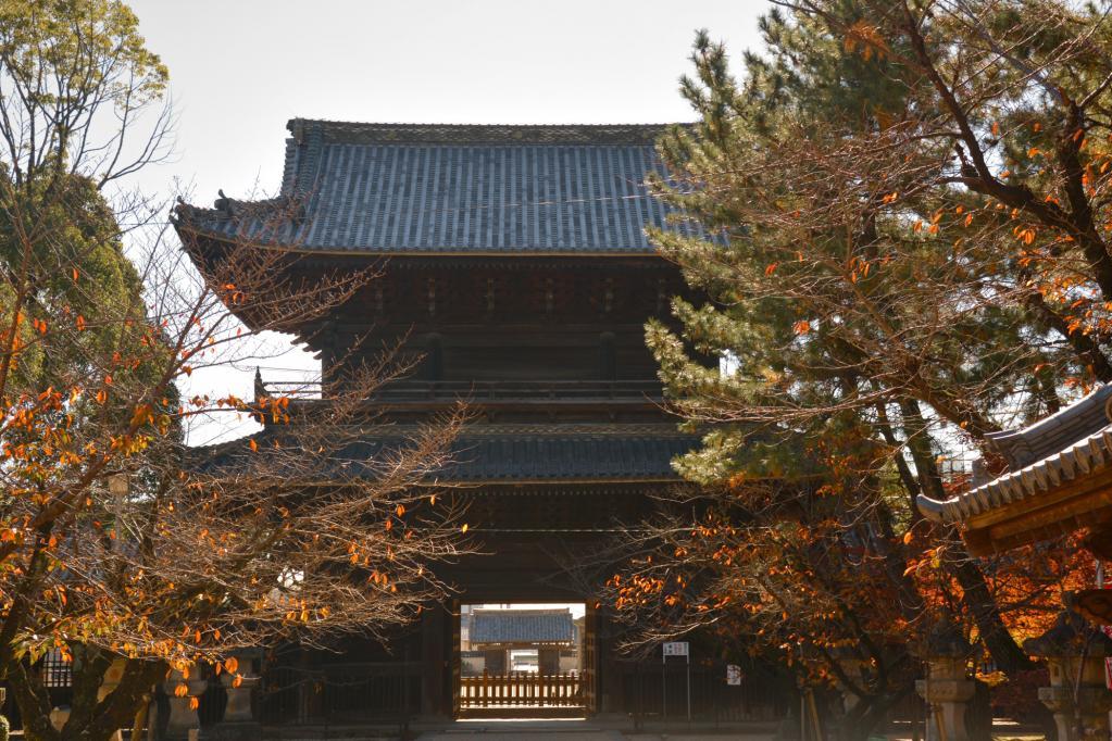 11月30日（日）までの土日祝限定！おかざき観光ガイドの会による週末「大樹寺」無料ガイド開催中！