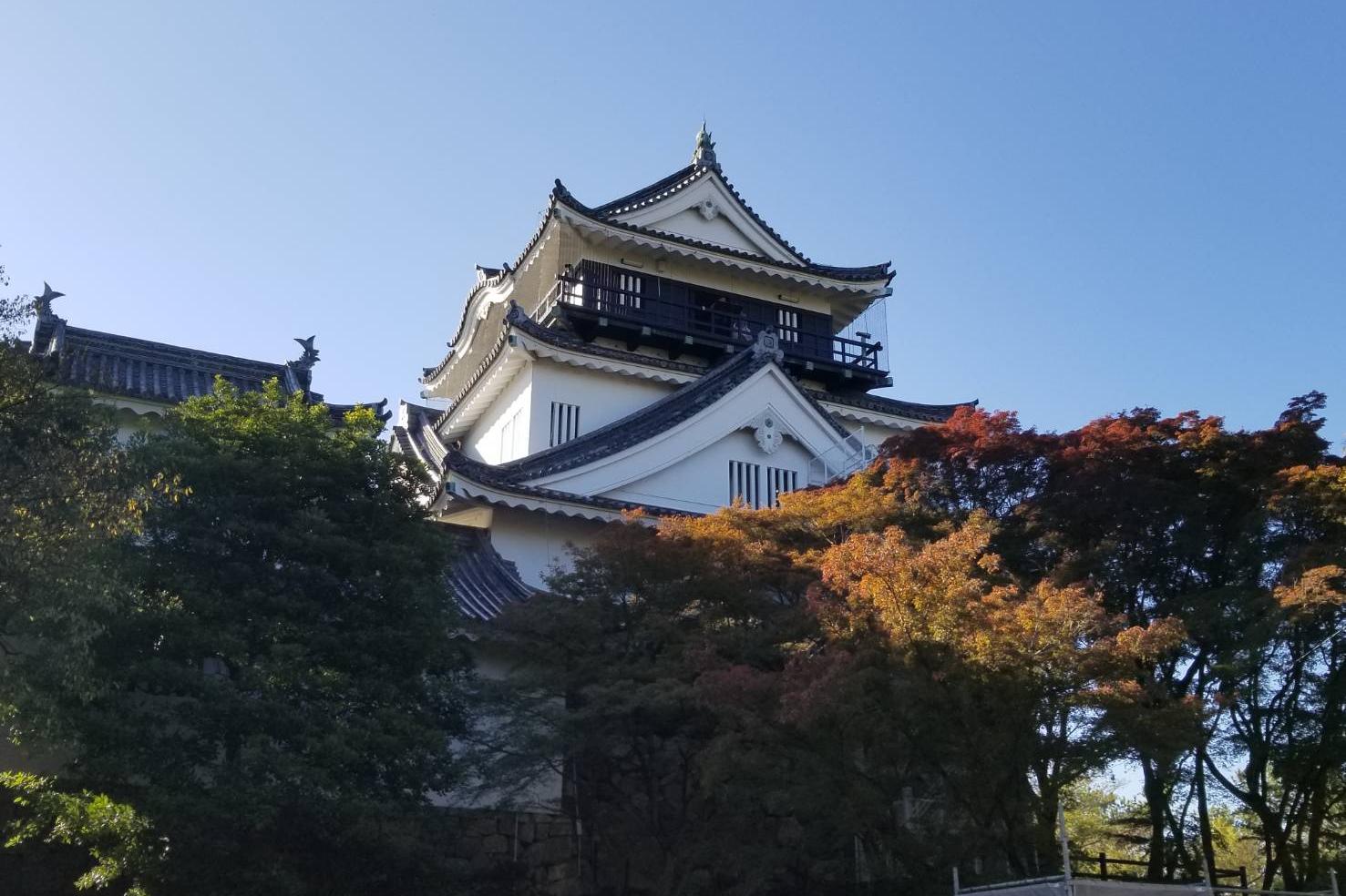 2025年度岡崎城公園の紅葉情報はこちら！