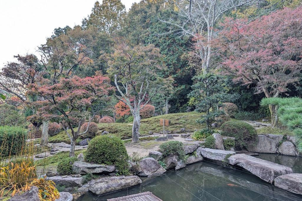 11月16日(日)の紅葉情報