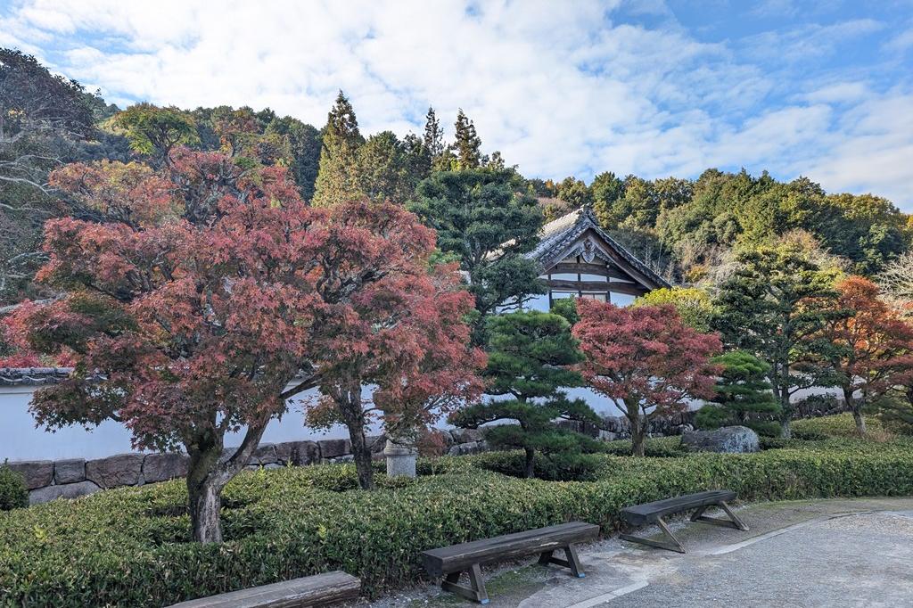 11月19日(水)の紅葉情報