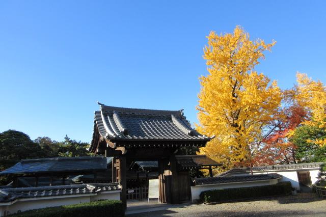 2025年11月24日（月・祝）の紅葉情報を公開しました！