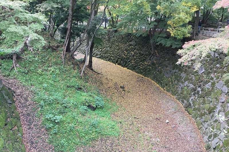 あいちの魅力発見隊「清海堀ガイドツアー」雨天中止のお知らせ