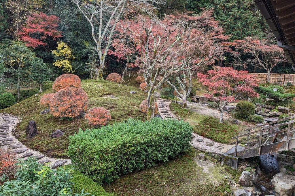 11月27日(木)の紅葉情報