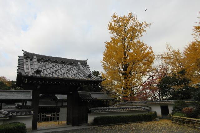 2025年11月27日（木）の紅葉情報を公開しました！