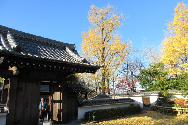 2025年11月29日（土）の紅葉情報を公開しました！