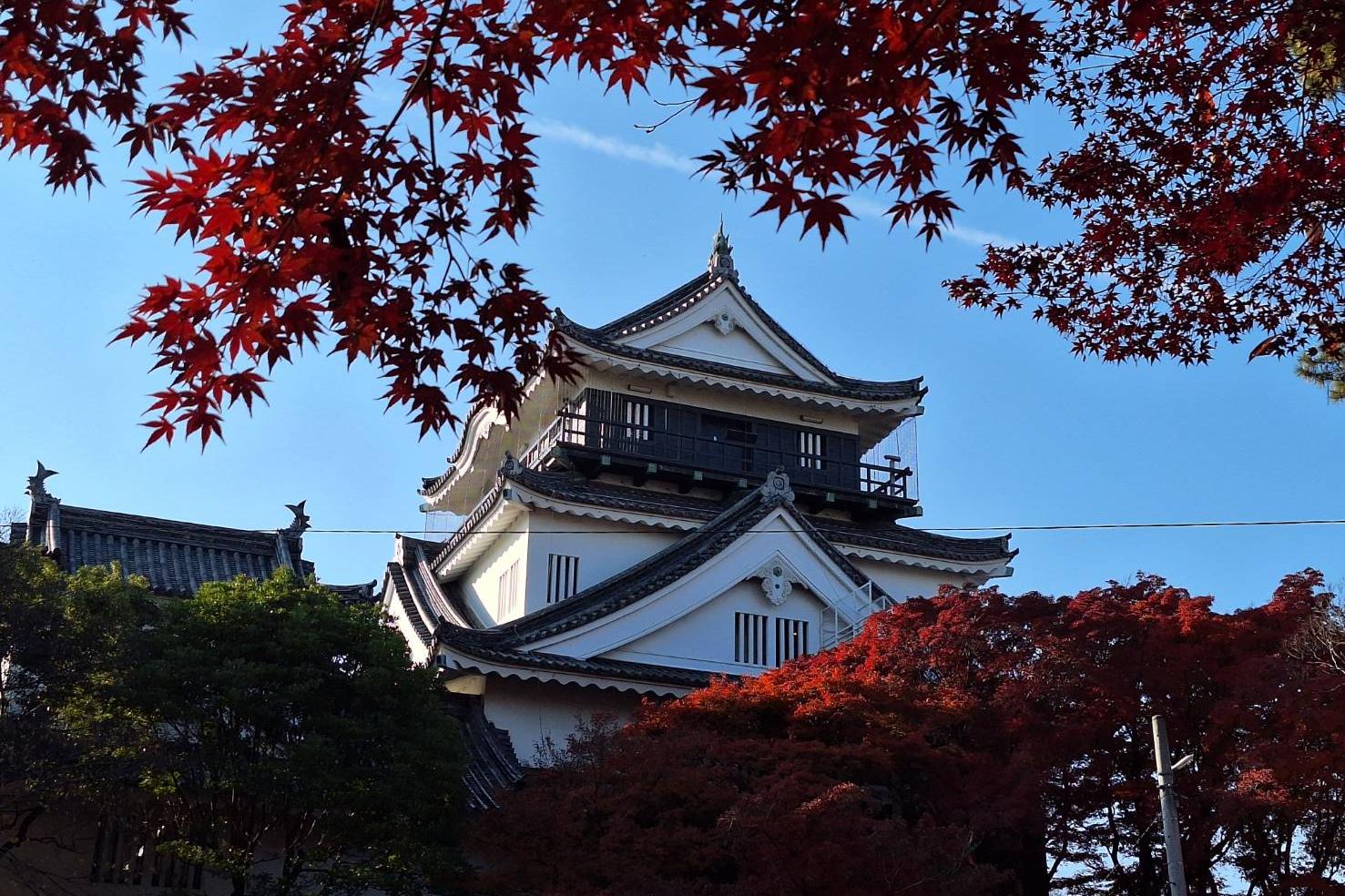 2025年12月2日（火）の紅葉情報を公開しました！