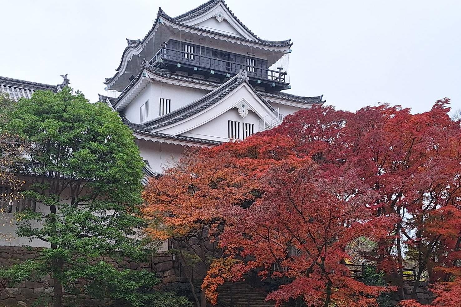 2025年12月3日（水）の紅葉情報を公開しました！