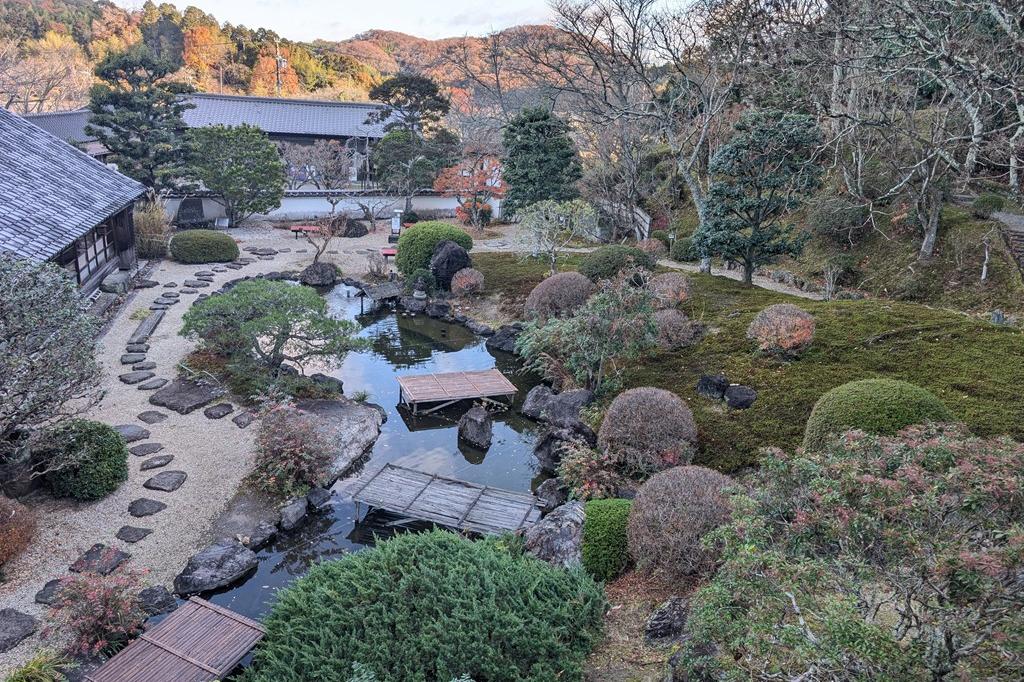 12月4日(木)の紅葉情報