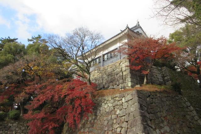 2025年12月4日（木）の紅葉情報を公開しました！