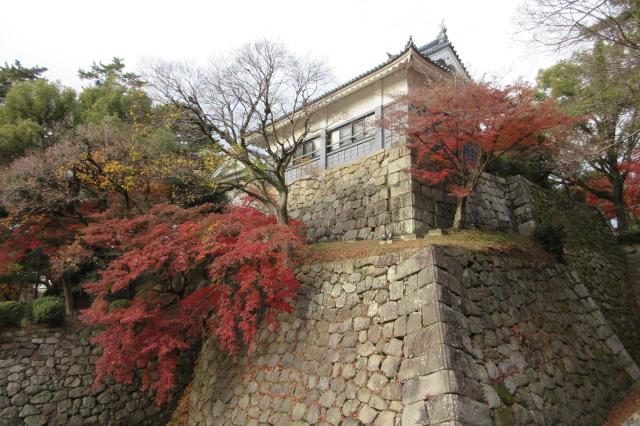 2025年12月5日（金）の紅葉情報を公開しました！